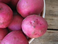 Spring-Red-Potatoes-Bowl1